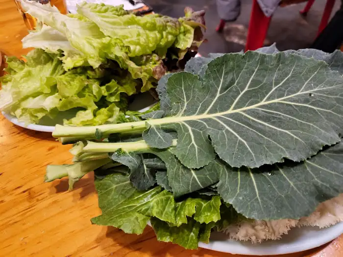 신선한 쌈 채소 모음
