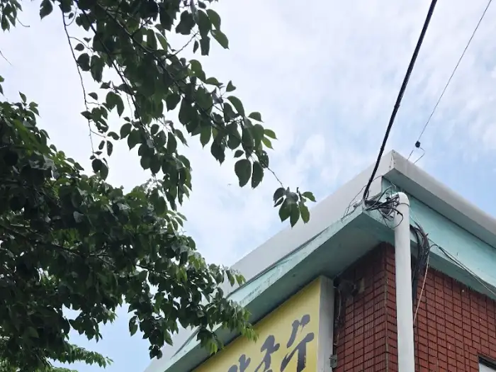 가게 외관을 비추는 햇살