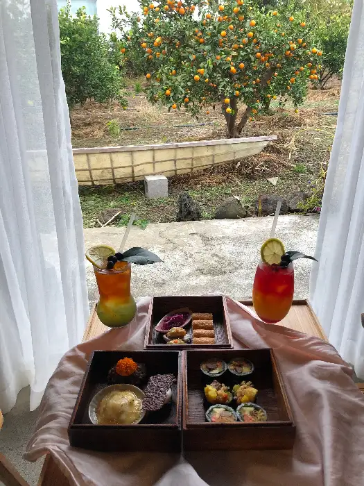 제주 밭 풍경이 보이는 창가