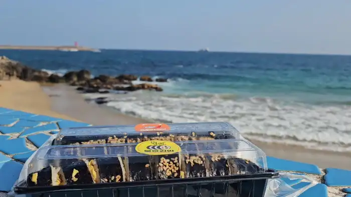 바다를 배경으로 놓인 묵호김밥