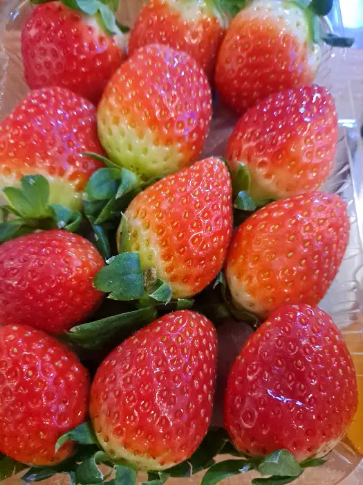 신선한 오리 불고기