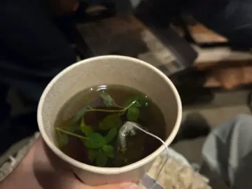 트라토리아에서 제공되는 따뜻한 차와 신선한 잎