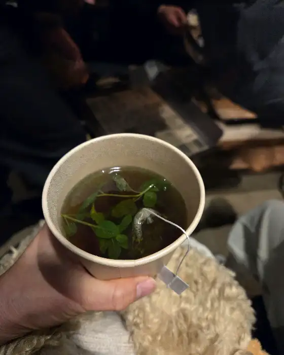 트라토리아에서 제공되는 따뜻한 차와 신선한 잎