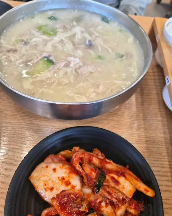 신선한 겉절이 김치