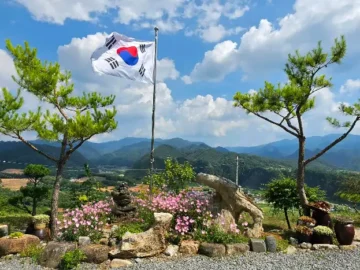 단양 시즌 뷰의 탁 트인 산과 남한강이 보이는 풍경