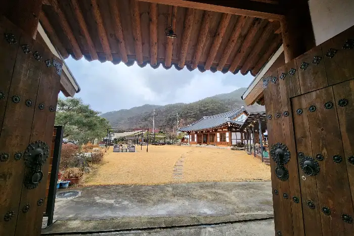 카페 소나무의 전통 한옥 외관과 마당 풍경