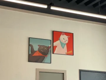 감자와메밀 매장 벽면에 걸린 귀여운 고양이 그림