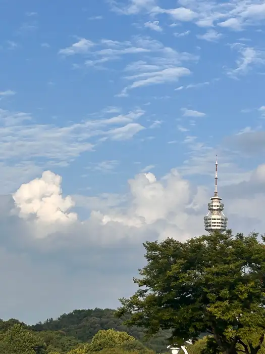 푸른 하늘과 녹음이 어우러진 대구 수성 지역의 풍경