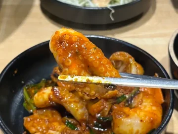 집게로 집어 올린 매콤한 은평쭈꾸미