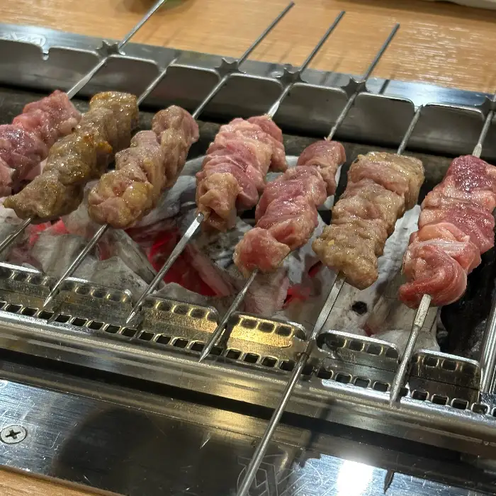 다양한 꼬치구이