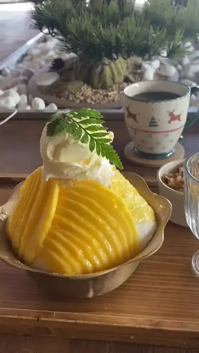 망고빙수와 말차가배