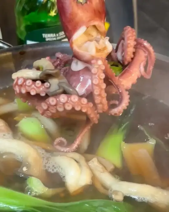 갓 삶아져 나온 탱글한 문어