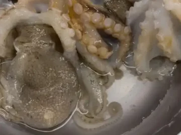 큼직한 문어 다리가 돋보이는 신선한 해산물