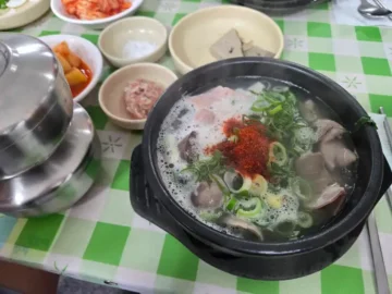 곡성 한일순대국밥의 순대국 모습
