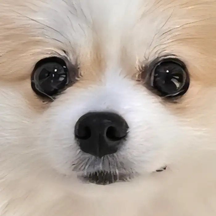 치즈가 풍성한 감자전의 단면
