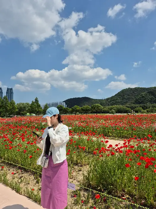 제주 감성을 물씬 풍기는 카페 머물다 입구와 야외 정원