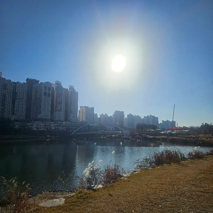 동래복집 하남미사점 전경 - 창밖 풍경