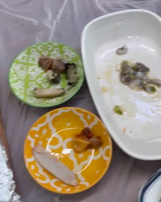 신선한 멍게와 산낙지 등 해산물 모둠 모습