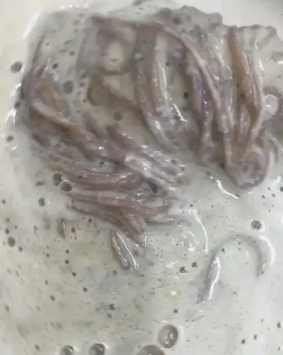 서리태 콩물국수 면발