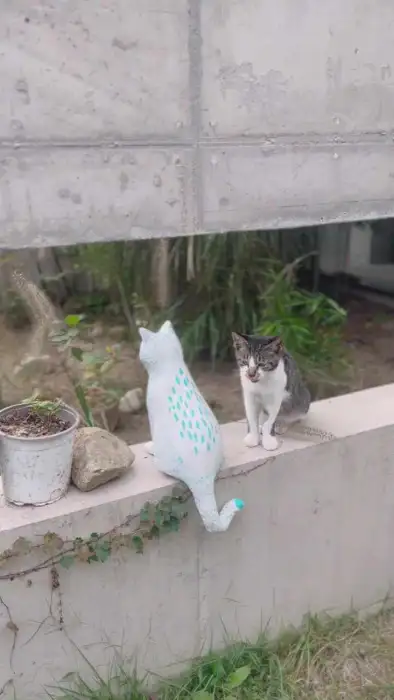 정원에 있는 고양이와 고양이 조형물