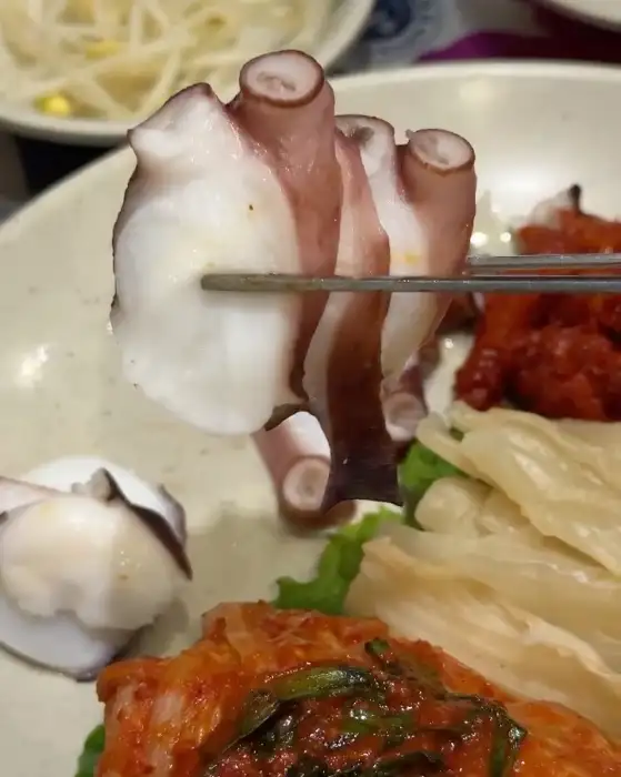 집게로 집어 올린 부드러운 낙지 다리