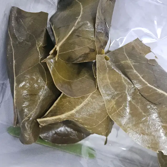 망개떡 포장에 사용되는 잎사귀
