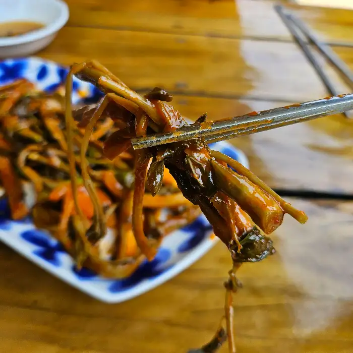 젓가락으로 집어 올린 산채비빔밥 속 나물