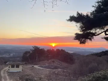 계림비봉상황삼계탕오리 전경과 안동의 풍경