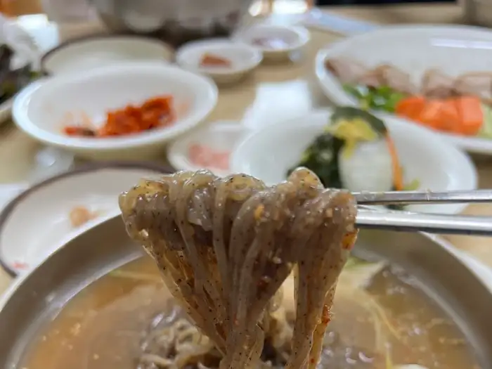 젓가락으로 물막국수 면발을 들어 올리는 모습