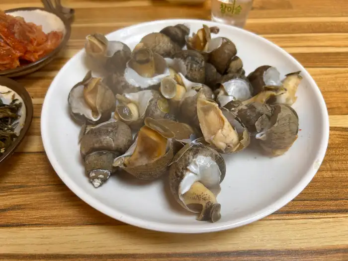 백고동