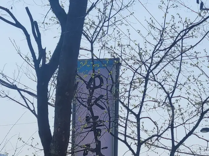 OK목장 주변을 둘러싼 나무와 하늘 풍경