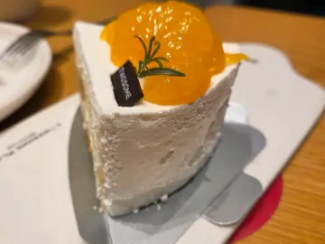 오렌지 과육이 듬뿍 올라간 달콤한 케이크 한 조각