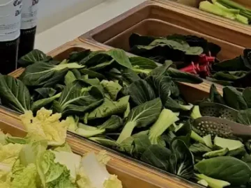 신선한 채소가 가지런히 담긴 샤브원 명지점 샐러드바