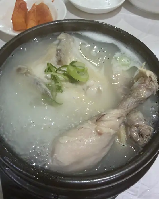 정박사냉면삼계탕 삼계탕의 닭고기와 국물