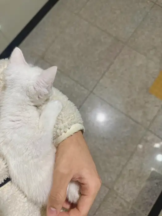 쉴만한식당에서 제공되는 푸짐한 생선 요리