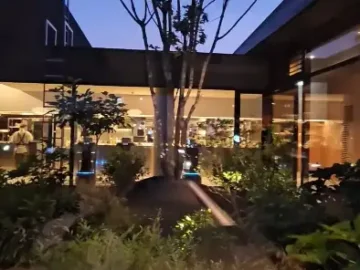 물푸레 오시리아의 아름다운 중정 풍경과 나무