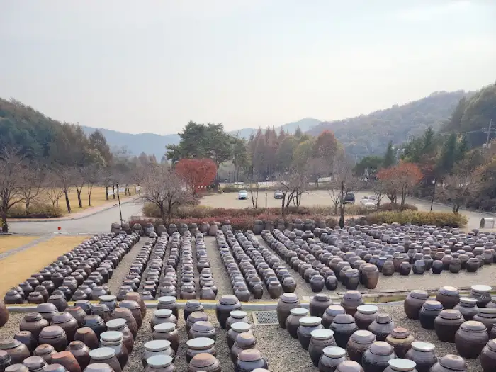 연천 세라비 한옥카페 입구의 수많은 장독대 풍경